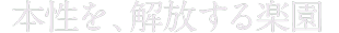 ラグジュアリーな異空間
